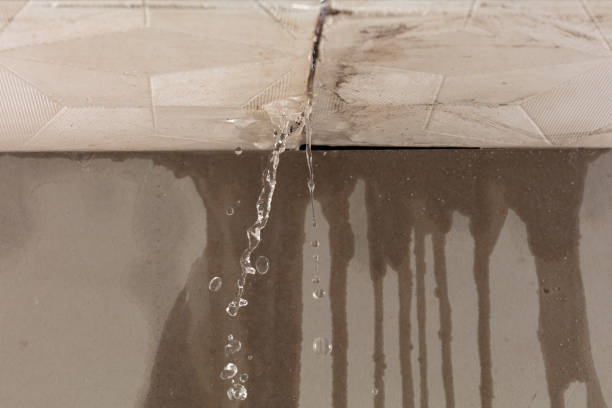 Professional Structural Drying technician working in Toledo, IA